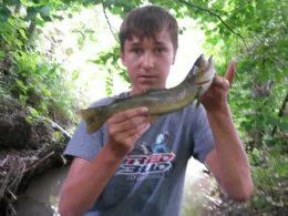 Sulzbach (Oberndorf)