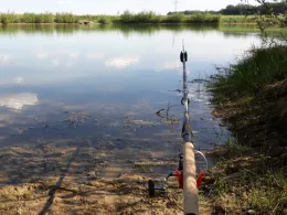 Kiesweiher Wolf (Pfatter)-0