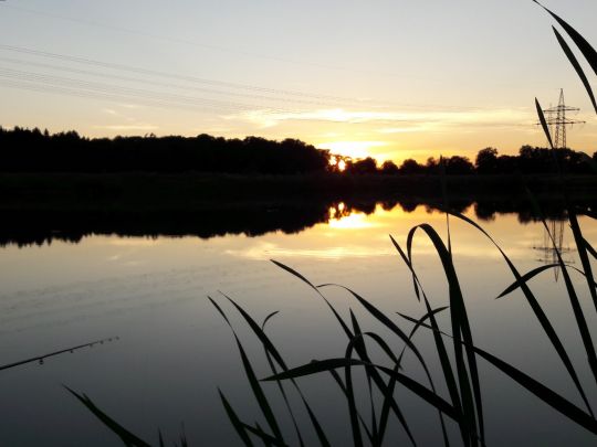 Kiesweiher Wolf (Pfatter)-1