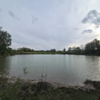 Vogtsee (Nersingen)-1