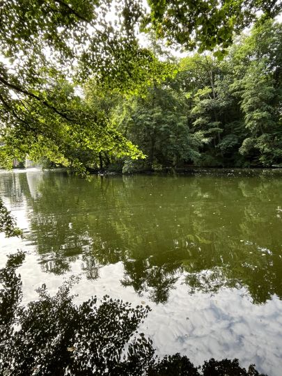 Volksparkteich Marl-1