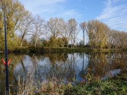 Donau (Schwenningen-Gremheim) -2