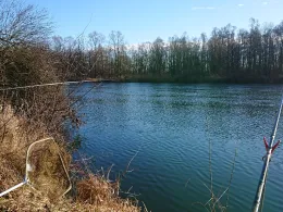 Donau (Schwenningen-Gremheim) 