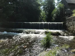 Freiberger Mulde (Mulda/Sachsen)-2