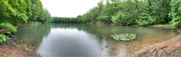 Krebsteich Tiefenbach (Gersdorf)