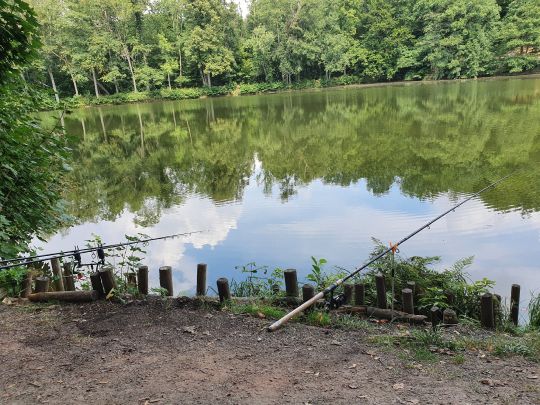 Krebsteich Tiefenbach (Gersdorf)-2