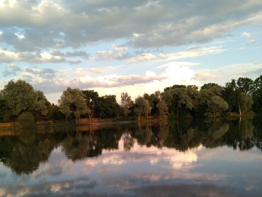 Étang de Cygne-4