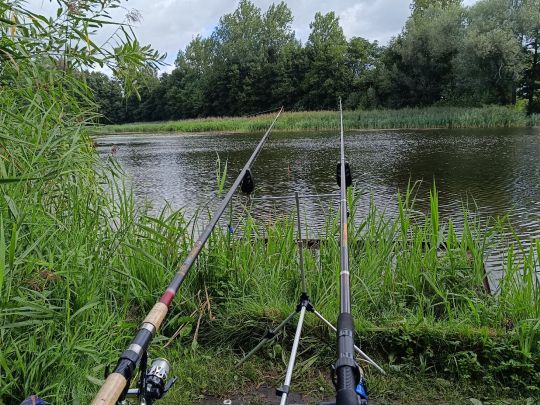 Delphinbad Wittenberge-3