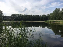 Delphinbad Wittenberge