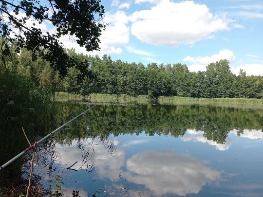 Delphinbad Wittenberge-4