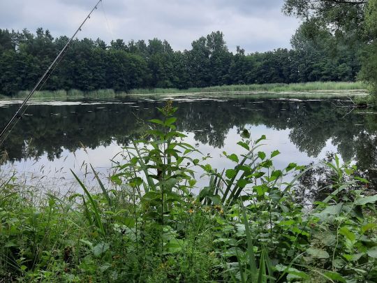 Delphinbad Wittenberge-1