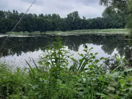 Delphinbad Wittenberge-1