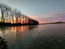 Rhein (St. Sebastian)-1