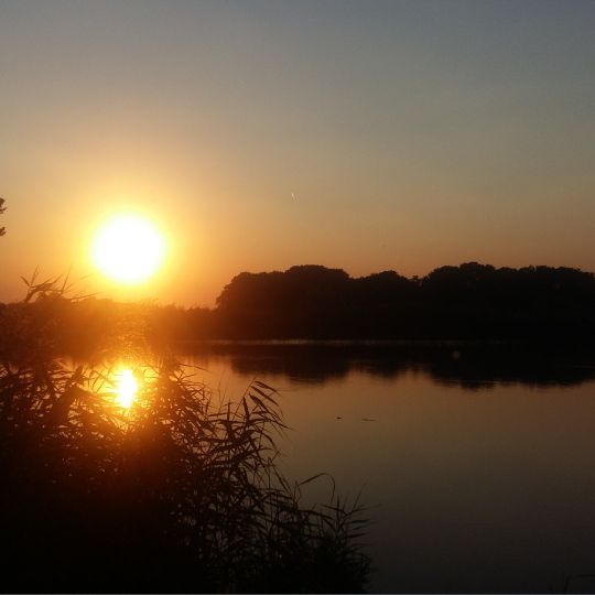 Saalealtarm Tippelskirchen-2