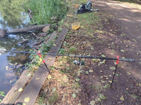 Prinzenweiher (Meerwiesertalweiher)-3