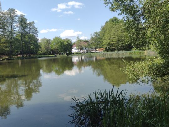 Prinzenweiher (Meerwiesertalweiher)-1