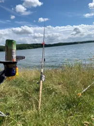 Schlei (Lindaunis)-2