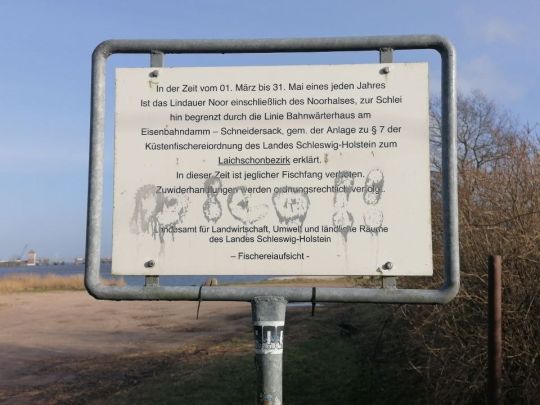 Schlei (Lindaunis)-3