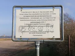 Schlei (Lindaunis)-3