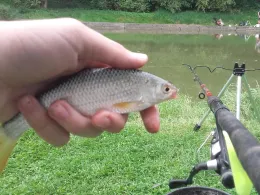 Dorfteich Hermsdorf-1