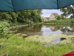 Dorfteich Hermsdorf-4