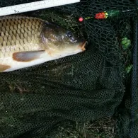 Dorfteiche Schweta-1