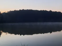 Erlesweiher (Oberreichenbach)