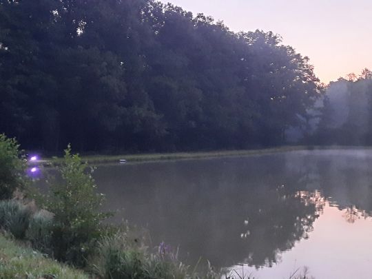 Erlesweiher (Oberreichenbach)-1