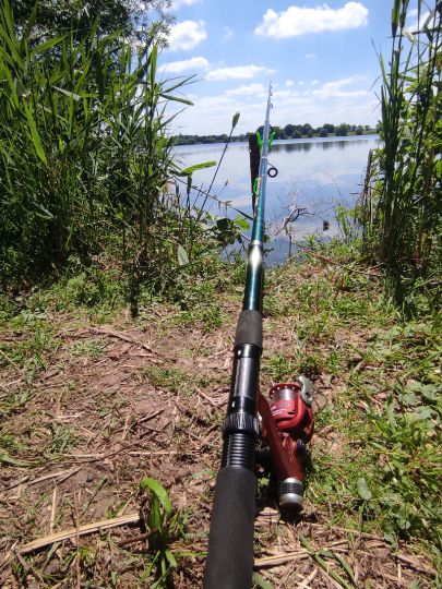Leeser Teich ALLE ANGELN