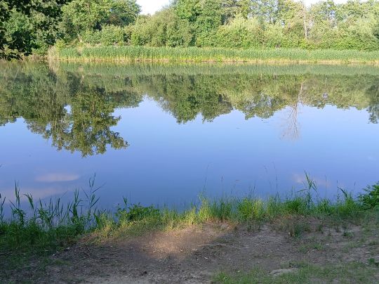 Kleiner See (Sonnenberg)-3