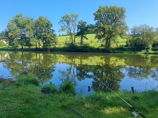 Büscher Weiher (Freudenberg)-1