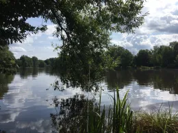 Campingsee (Dinkelsbühl)