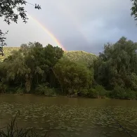 Mosel (Hatzenport)-0