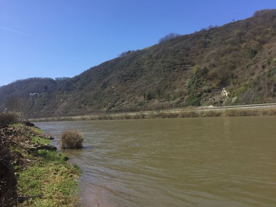 Mosel (Hatzenport)-4