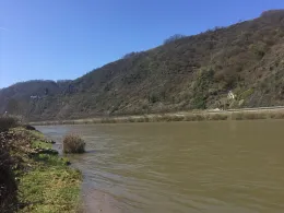 Mosel (Hatzenport)-4