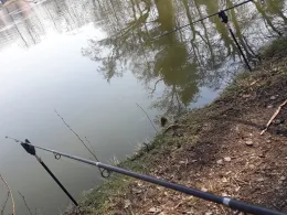 Schmelzteich (Bernsdorf)-3