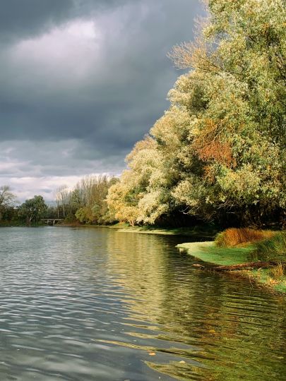 Heegwasser (Lampertheim)-2