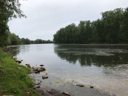 Heegwasser (Lampertheim)-4