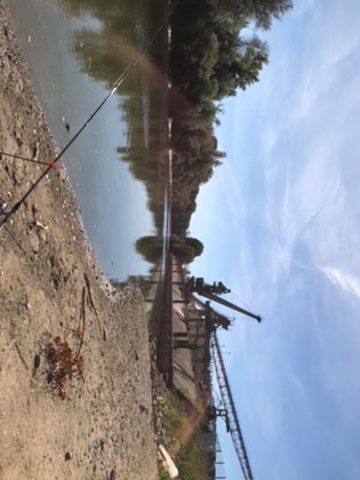 Heegwasser (Lampertheim)-1