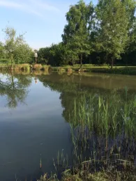 Streu (Ostheim/Rhön)