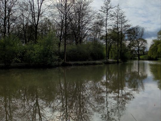 Teich am Selbachpark-4