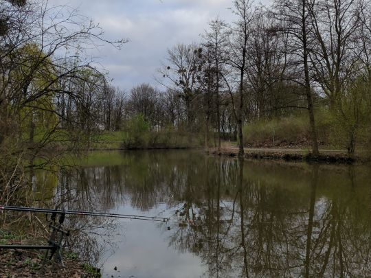 Teich am Selbachpark-3