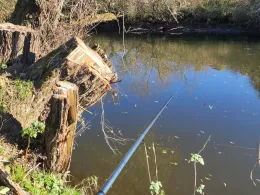 Fulda (Niederaula)-2