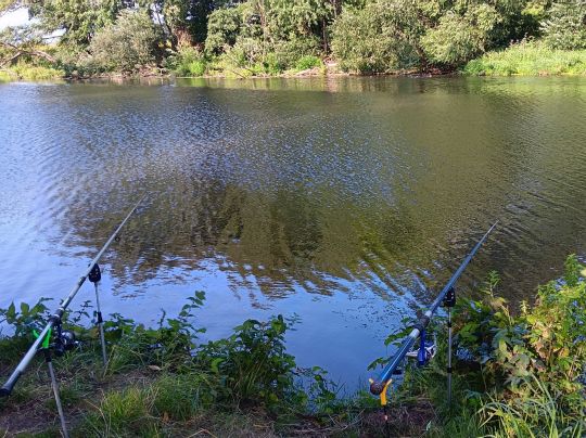 Fulda (Niederaula)-1