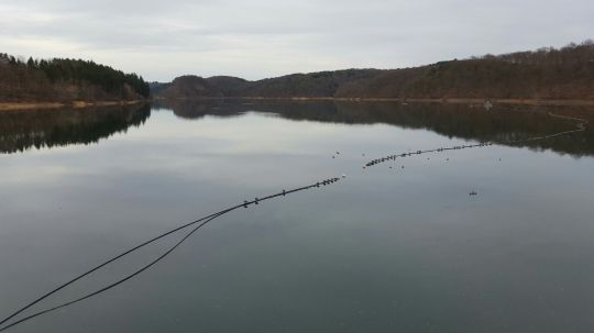 Wahnbachtalsperre angeln