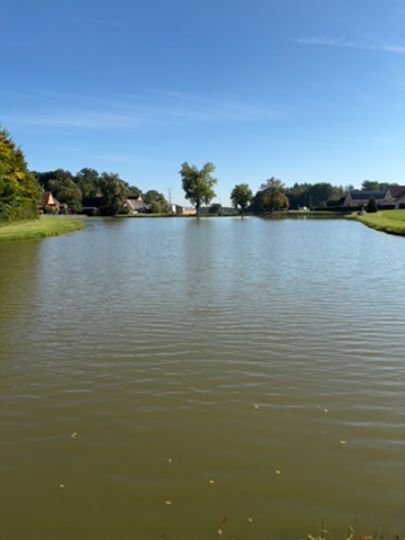 Hofweiher (Thürnhofen)