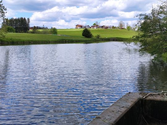 Rottachweiher (Lechbruck)-1