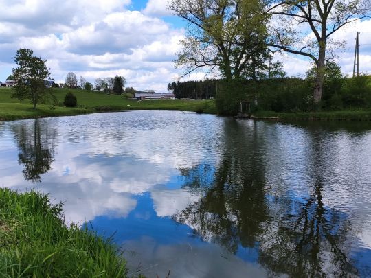 Rottachweiher (Lechbruck)-2