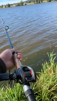 Weißenstädter See-3