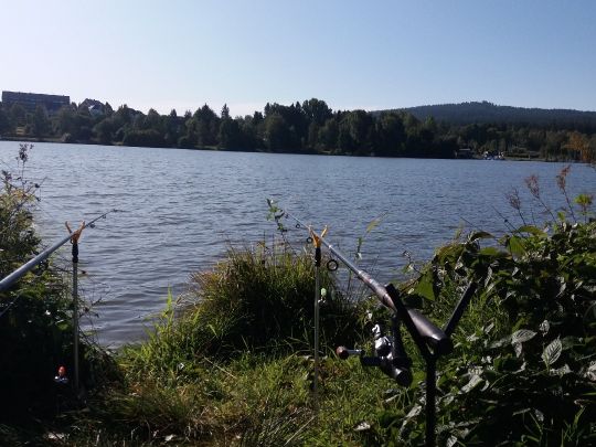 Weißenstädter See angeln